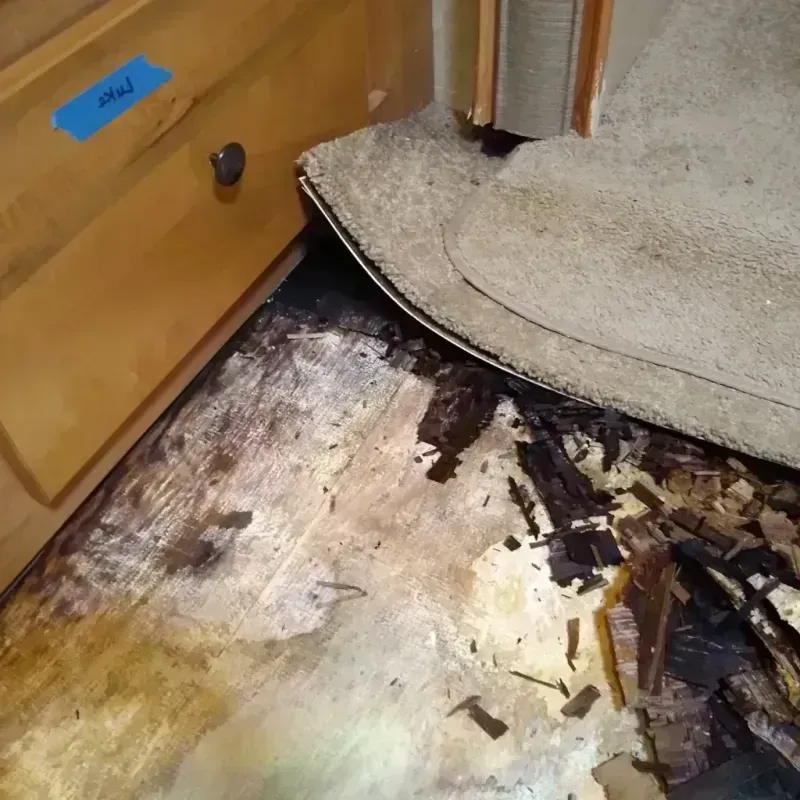 Wood Floor Water Damage in Stark County, IL